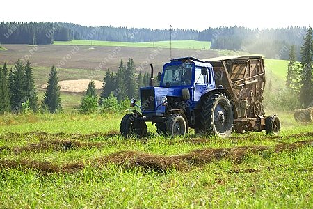 трактор,уборка льна,лен,сельхозтехника,сельскохозяйственная техника,сельское хозяйство